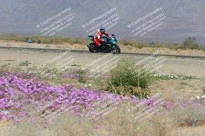 media/Feb-04-2023-SoCal Trackdays (Sat) [[8a776bf2c3]]/Turn 15 Inside Blooming (1050am)/